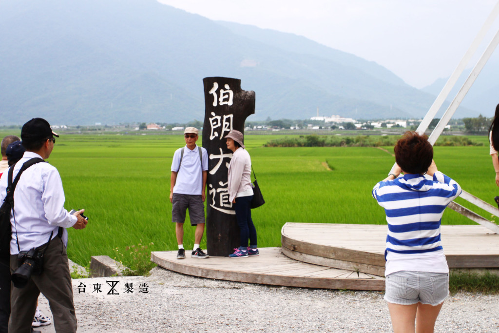 台東旅遊伯朗大道