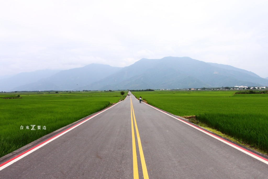 台東旅遊伯朗大道