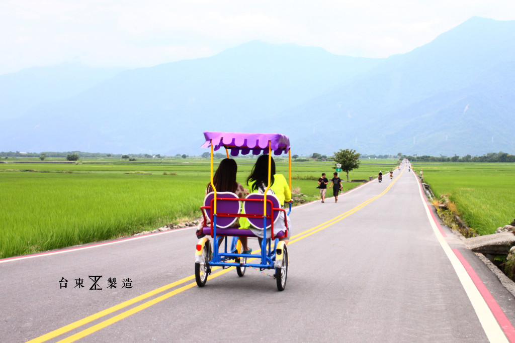 台東旅遊伯朗大道