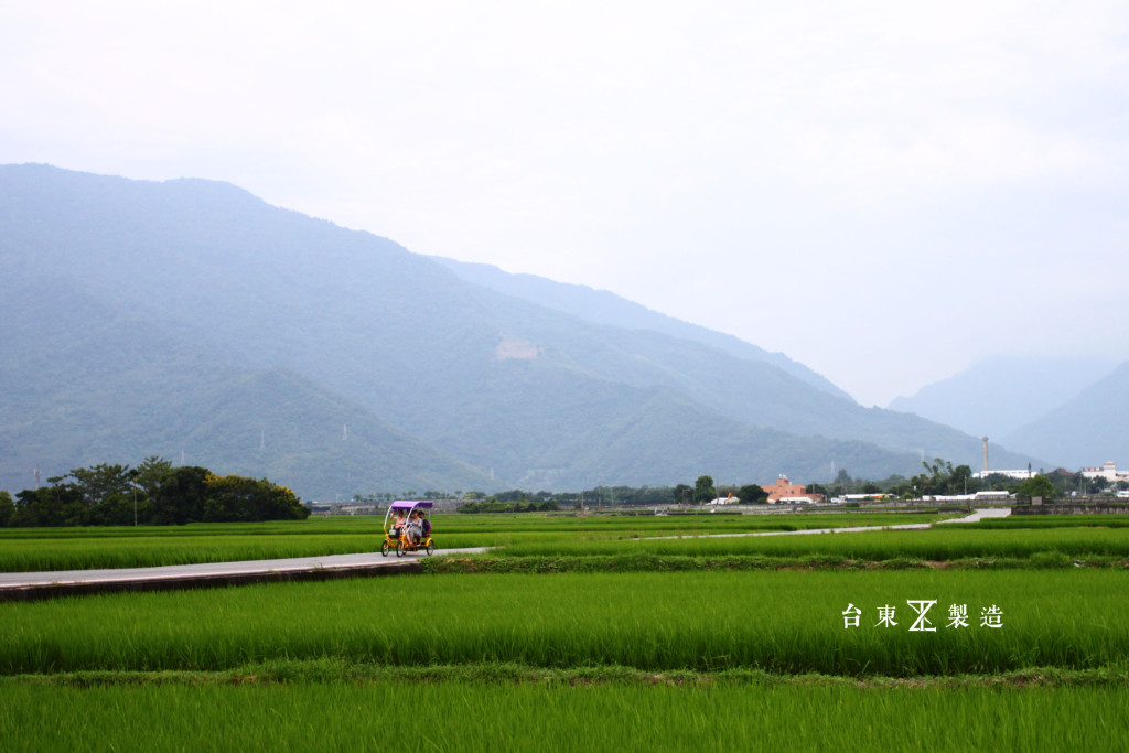 台東旅遊伯朗大道