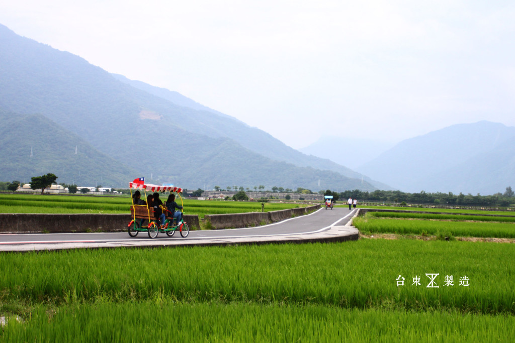 台東旅遊伯朗大道