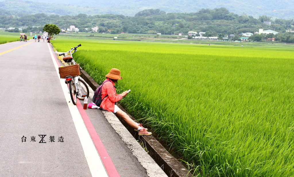 台東旅遊伯朗大道