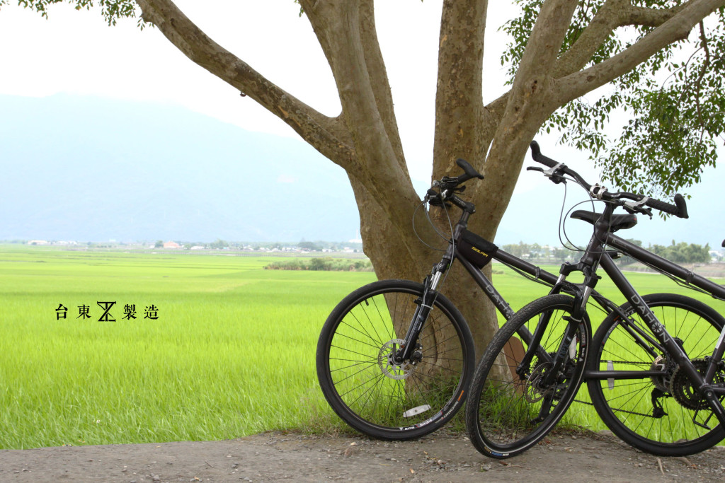 台東旅遊伯朗大道