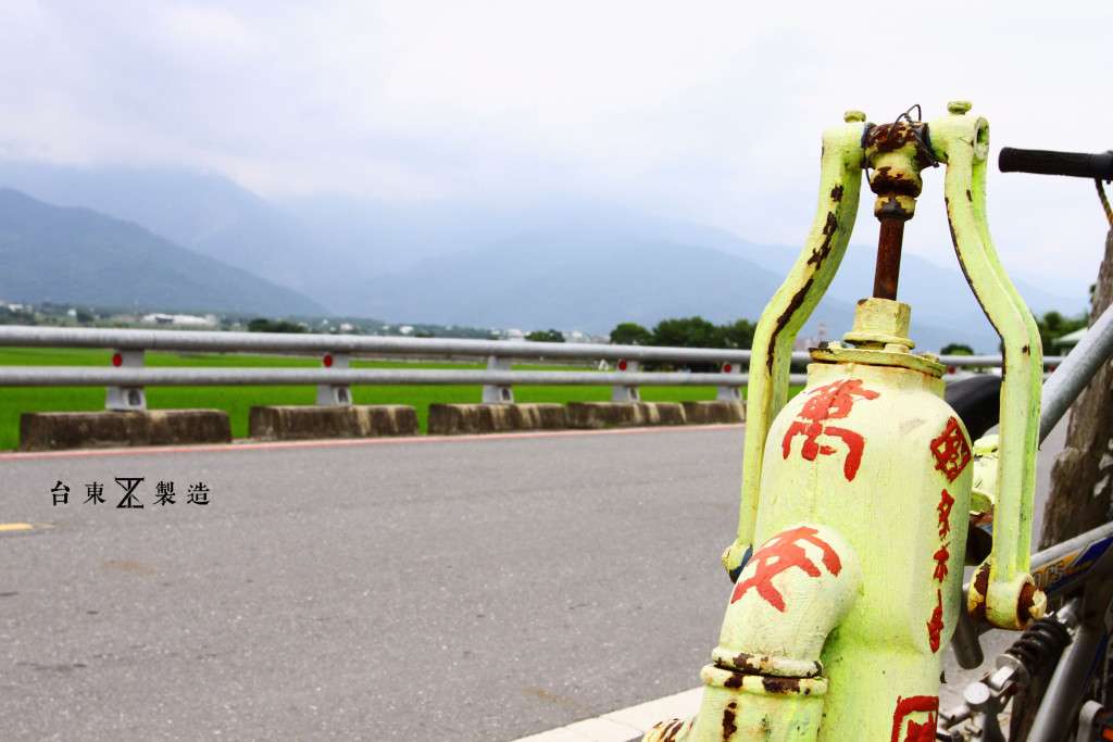 台東旅遊伯朗大道