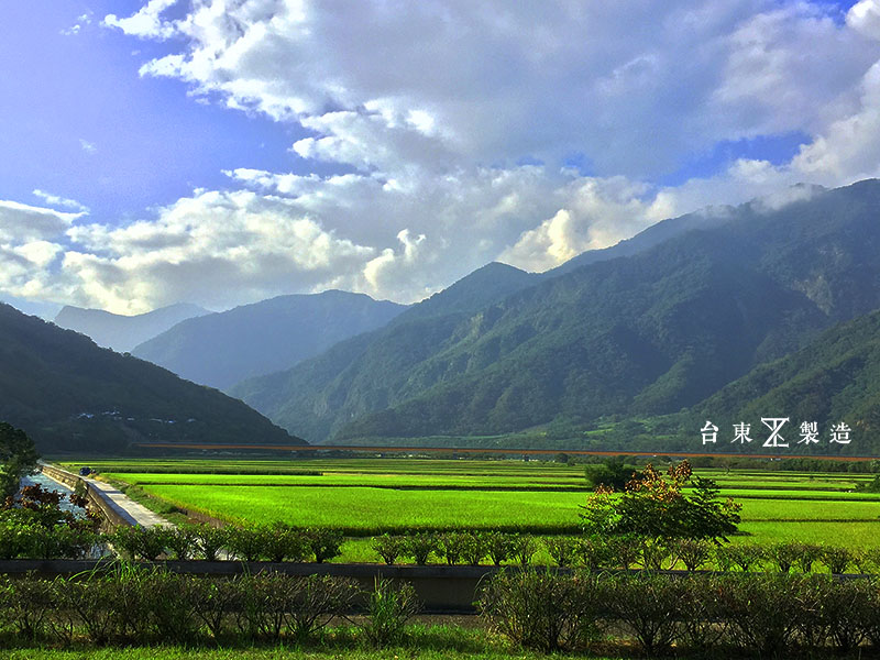 台東 關山圳 水利公園 (22)