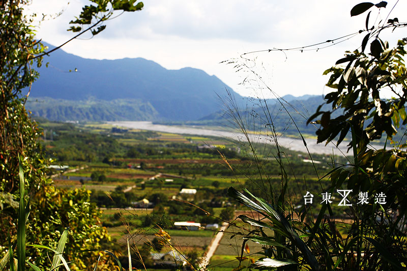 台東故事 桃源村 山豬王 (13)