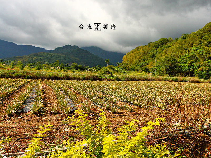 台東旅遊星月園露營忘憂谷7