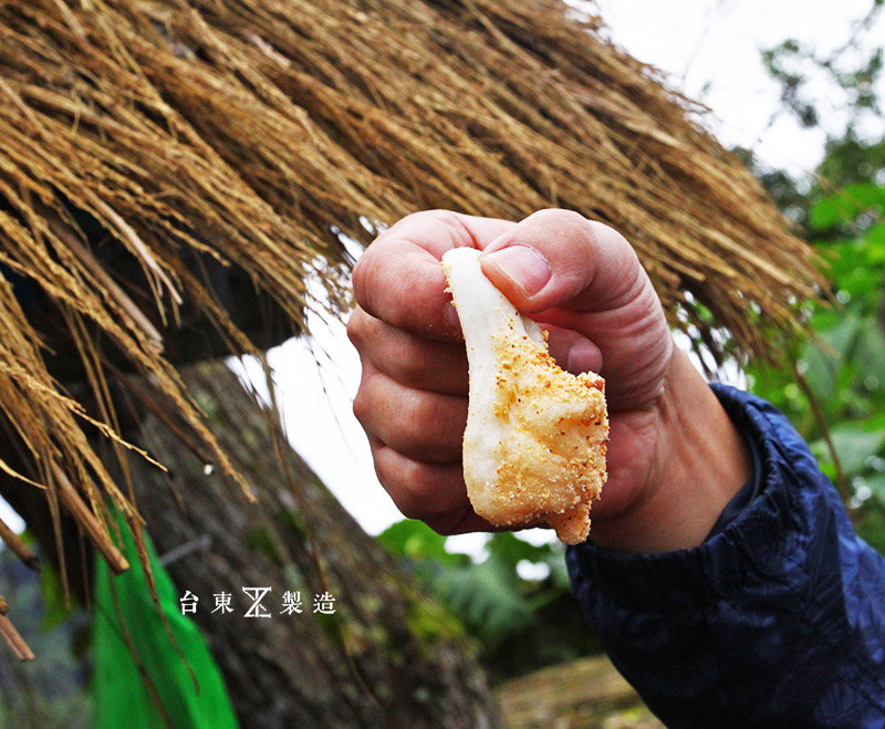 台東旅遊鸞山部落會走路的樹59