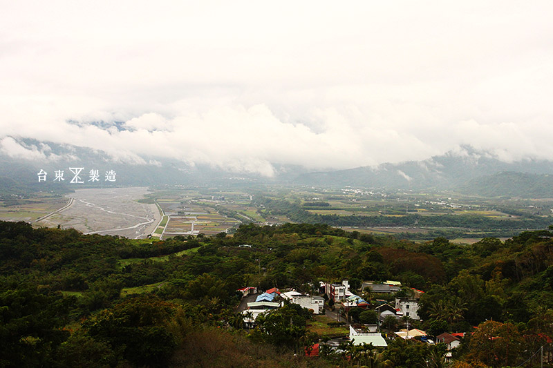 台東旅遊鸞山部落會走路的樹62