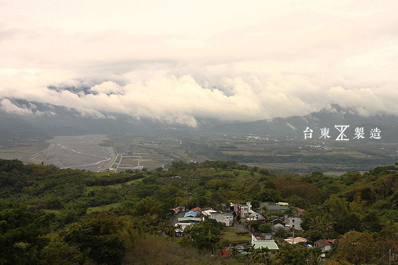 台東旅遊鸞山部落梅園賞梅會走路的樹 (15)