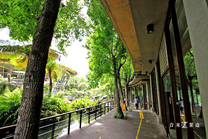 台東原生應用植物園 (16)