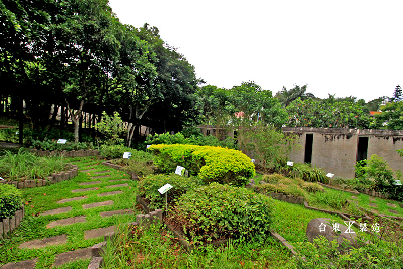 台東原生應用植物園 (2)