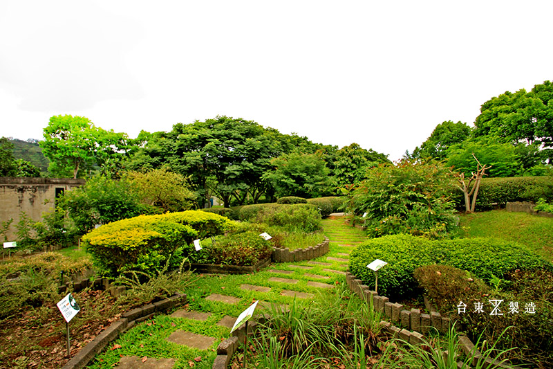 台東原生應用植物園 (4)