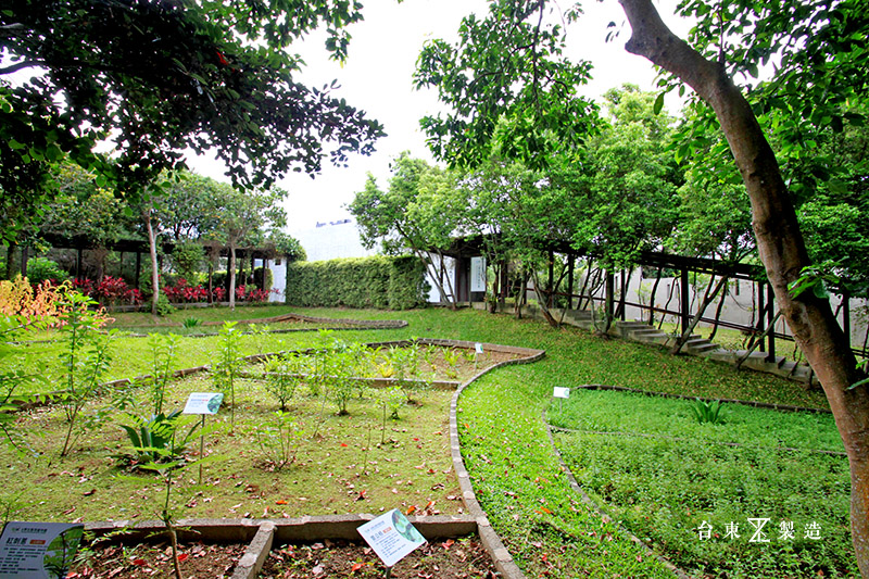 台東原生應用植物園 (5)