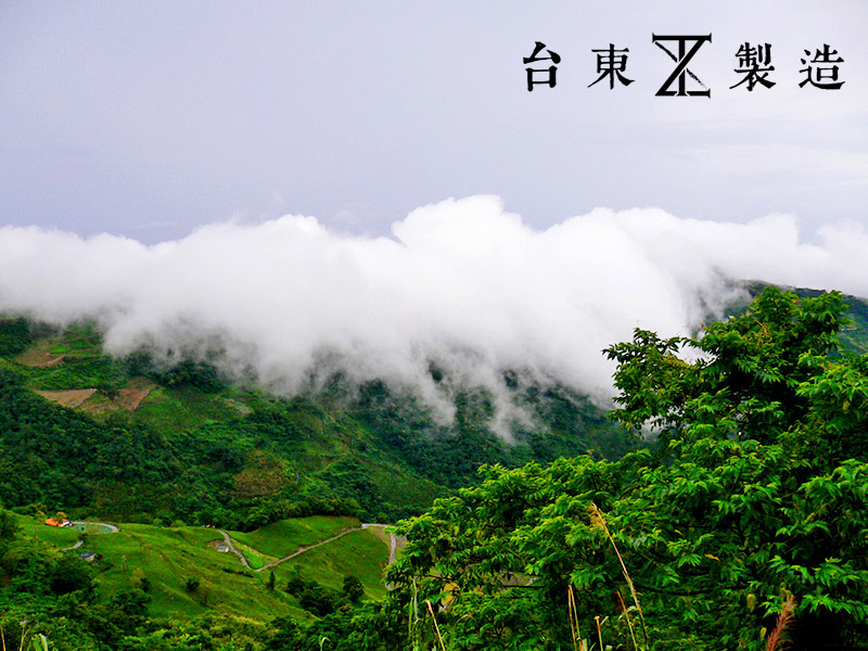 2016金針花季10-台東金針山
